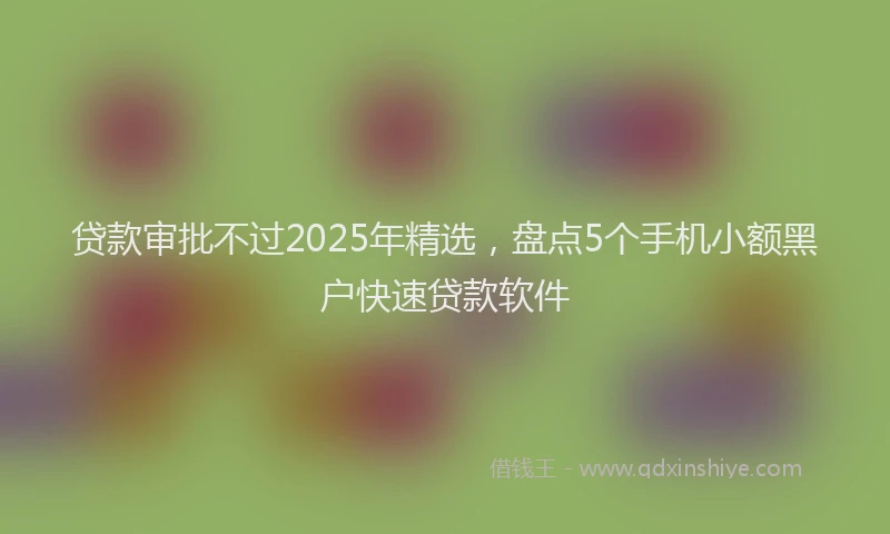贷款审批不过2025年精选，盘点5个手机小额黑户快速贷款软件