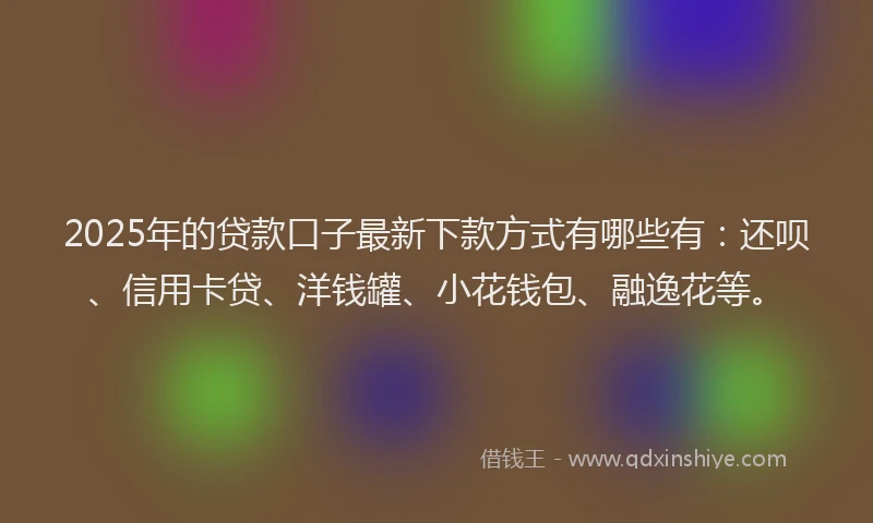 2025年的贷款口子最新下款方式有哪些有：还呗、信用卡贷、洋钱罐、小花钱包、融逸花等。