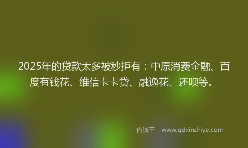 2025年的贷款太多被秒拒有：中原消费金融、百度有钱花、维信卡卡贷、融逸花、还呗等。