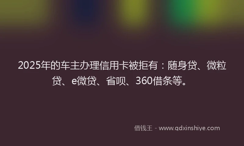 2025年的车主办理信用卡被拒有：随身贷、微粒贷、e微贷、省呗、360借条等。