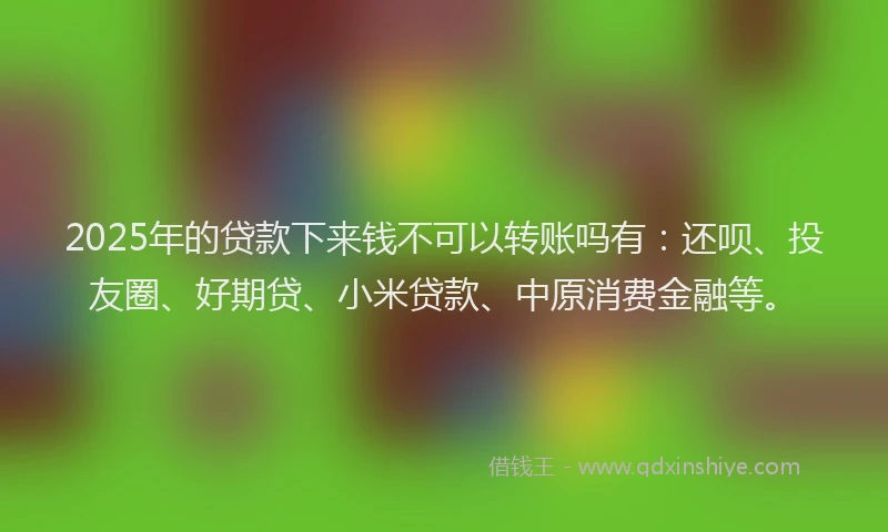 2025年的贷款下来钱不可以转账吗有:还呗、投友圈、好期贷、小米贷款、中原消费金融等。