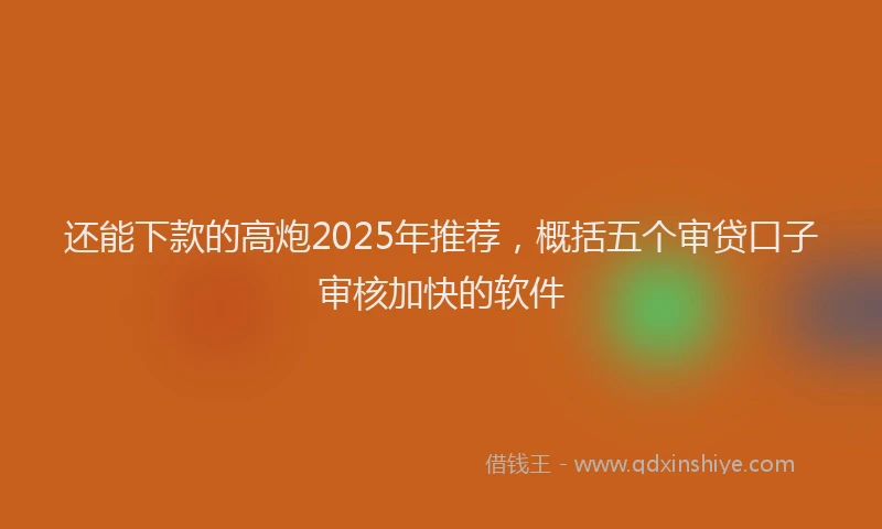 还能下款的高炮2025年推荐，概括五个审贷口子审核加快的软件