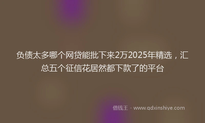 负债太多哪个网贷能批下来2万2025年精选，汇总五个征信花居然都下款了的平台