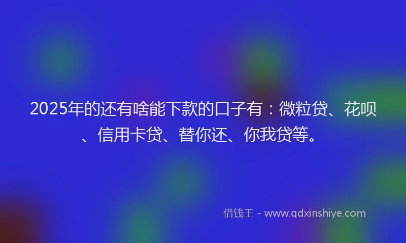 2025年的还有啥能下款的口子有：微粒贷、花呗、信用卡贷、替你还、你我贷等。
