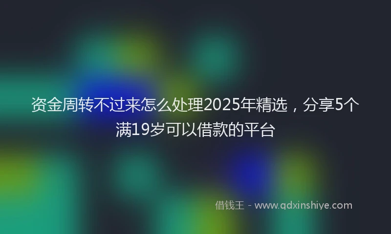 资金周转不过来怎么处理2025年精选，分享5个满19岁可以借款的平台