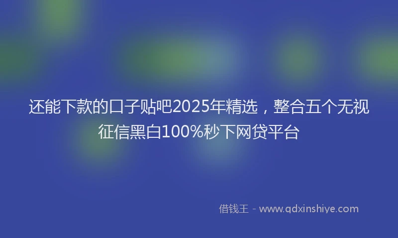 还能下款的口子贴吧2025年精选，整合五个无视征信黑白100%秒下网贷平台