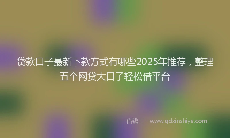 贷款口子最新下款方式有哪些2025年推荐，整理五个网贷大口子轻松借平台