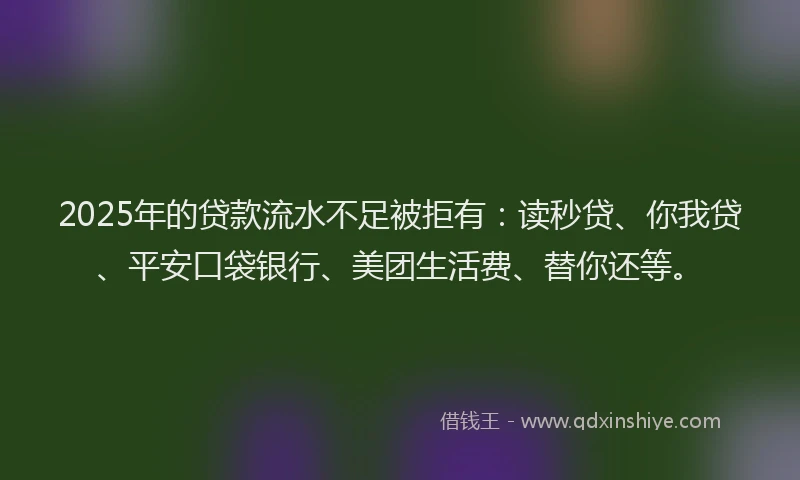 2025年的贷款流水不足被拒有：读秒贷、你我贷、平安口袋银行、美团生活费、替你还等。