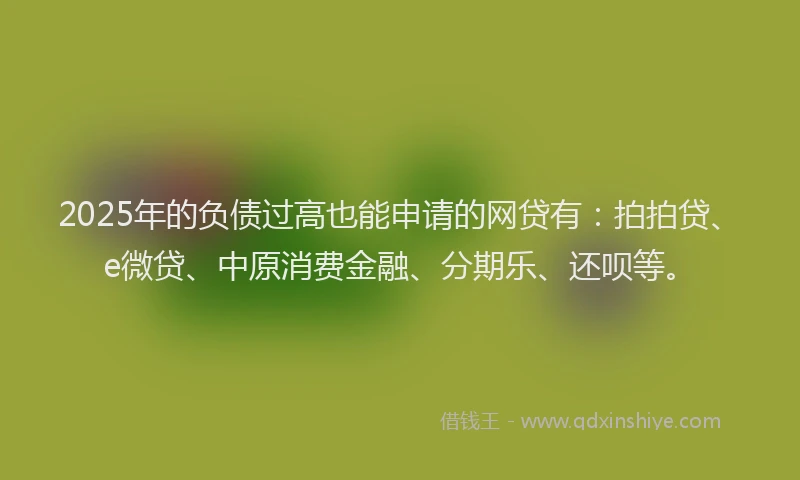 2025年的负债过高也能申请的网贷有：拍拍贷、e微贷、中原消费金融、分期乐、还呗等。