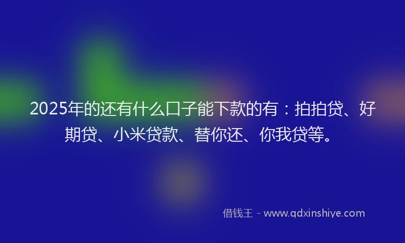 2025年的还有什么口子能下款的有：拍拍贷、好期贷、小米贷款、替你还、你我贷等。