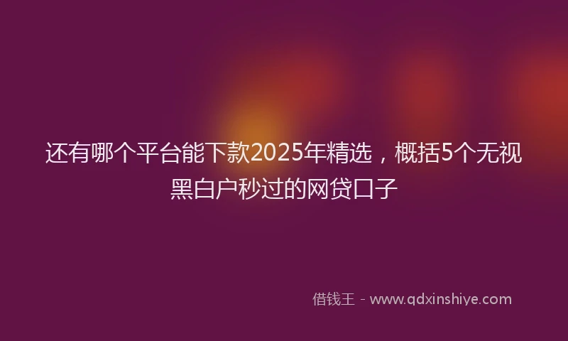 还有哪个平台能下款2025年精选，概括5个无视黑白户秒过的网贷口子