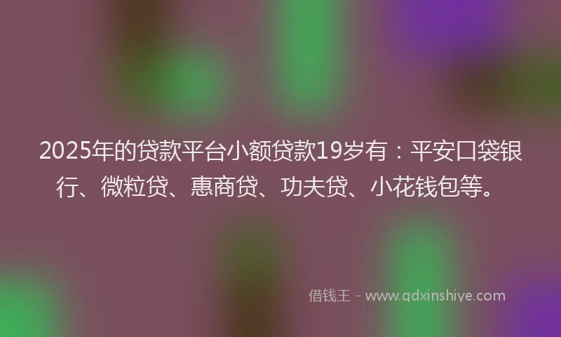 2025年的贷款平台小额贷款19岁有：平安口袋银行、微粒贷、惠商贷、功夫贷、小花钱包等。