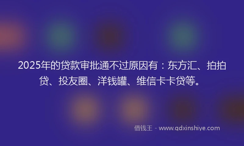 2025年的贷款审批通不过原因有：东方汇、拍拍贷、投友圈、洋钱罐、维信卡卡贷等。