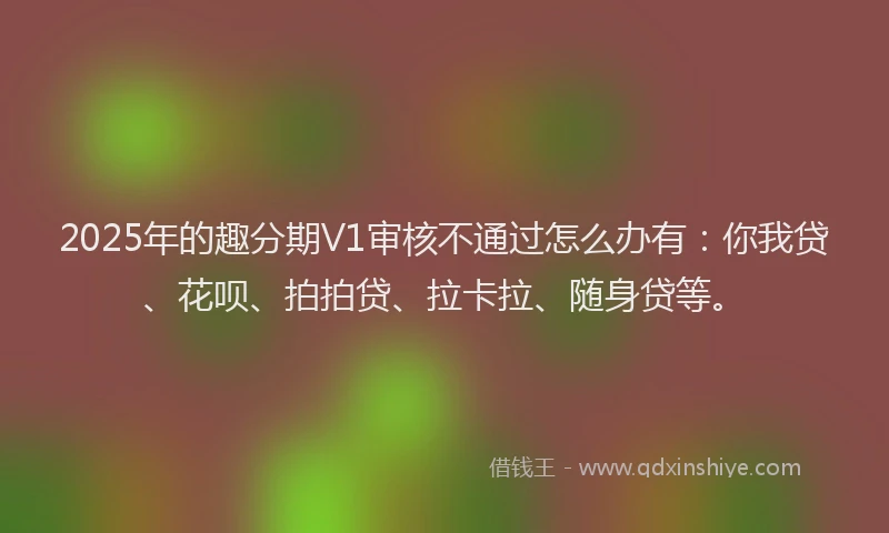2025年的趣分期V1审核不通过怎么办有：你我贷、花呗、拍拍贷、拉卡拉、随身贷等。