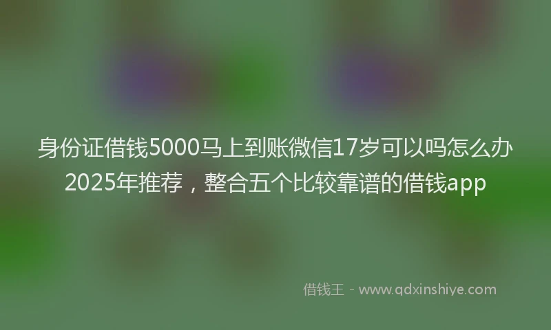 身份证借钱5000马上到账微信17岁可以吗怎么办2025年推荐，整合五个比较靠谱的借钱app