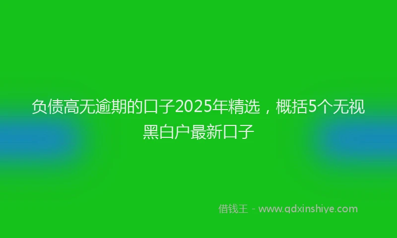 负债高无逾期的口子2025年精选，概括5个无视黑白户最新口子