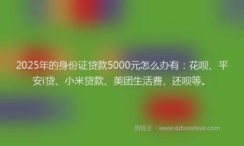 2025年的身份证贷款5000元怎么办有：花呗、平安i贷、小米贷款、美团生活费、还呗等。