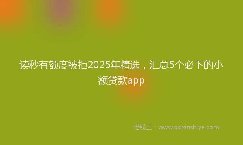 读秒有额度被拒2025年精选，汇总5个必下的小额贷款app