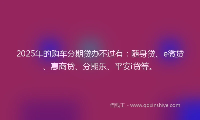 2025年的购车分期贷办不过有：随身贷、e微贷、惠商贷、分期乐、平安i贷等。