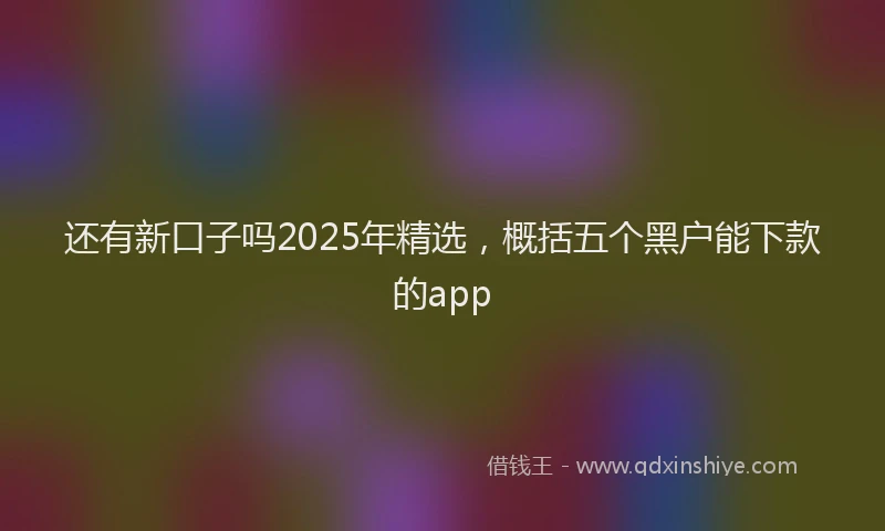 还有新口子吗2025年精选，概括五个黑户能下款的app