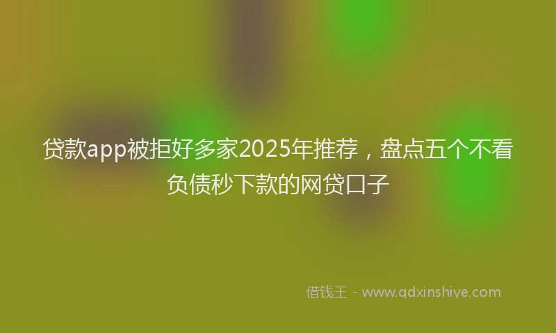 贷款app被拒好多家2025年推荐，盘点五个不看负债秒下款的网贷口子