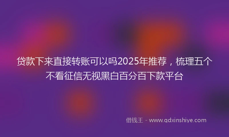 贷款下来直接转账可以吗2025年推荐，梳理五个不看征信无视黑白百分百下款平台