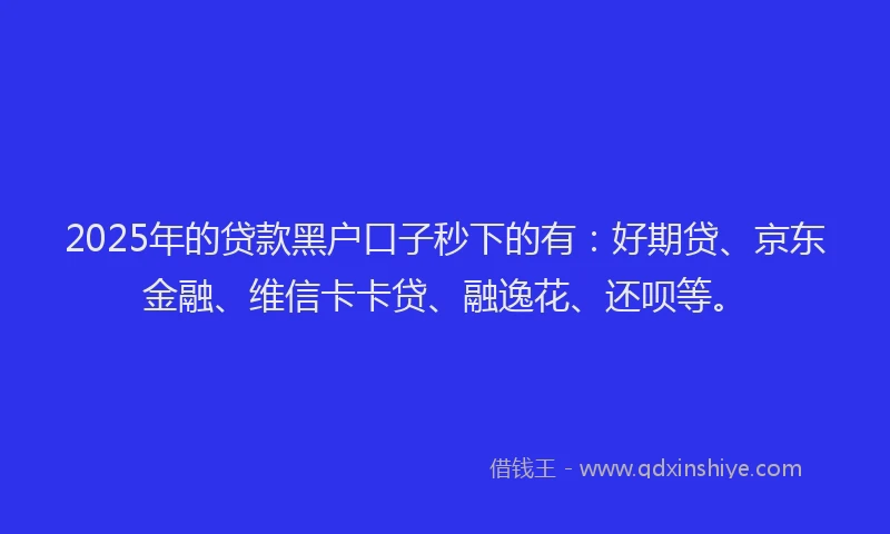 2025年的贷款黑户口子秒下的有：好期贷、京东金融、维信卡卡贷、融逸花、还呗等。
