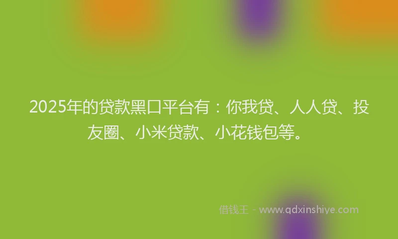 2025年的贷款黑口平台有：你我贷、人人贷、投友圈、小米贷款、小花钱包等。