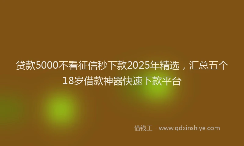 贷款5000不看征信秒下款2025年精选，汇总五个18岁借款神器快速下款平台