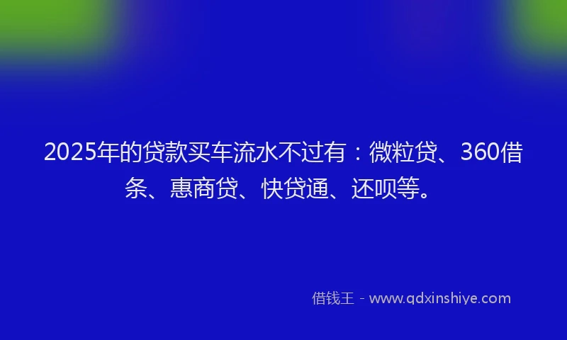 2025年的贷款买车流水不过有：微粒贷、360借条、惠商贷、快贷通、还呗等。