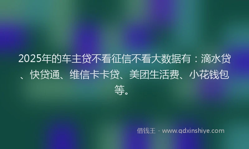 2025年的车主贷不看征信不看大数据有：滴水贷、快贷通、维信卡卡贷、美团生活费、小花钱包等。