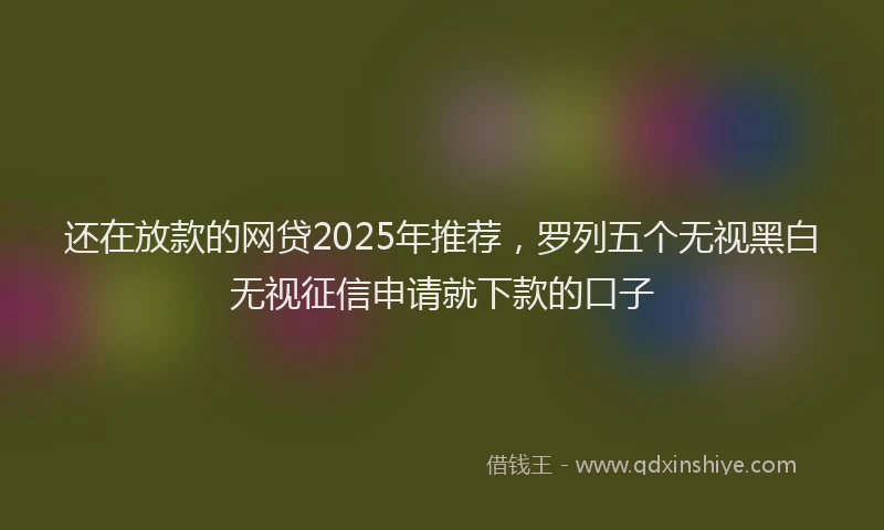 还在放款的网贷2025年推荐，罗列五个无视黑白无视征信申请就下款的口子