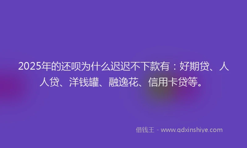 2025年的还呗为什么迟迟不下款有：好期贷、人人贷、洋钱罐、融逸花、信用卡贷等。