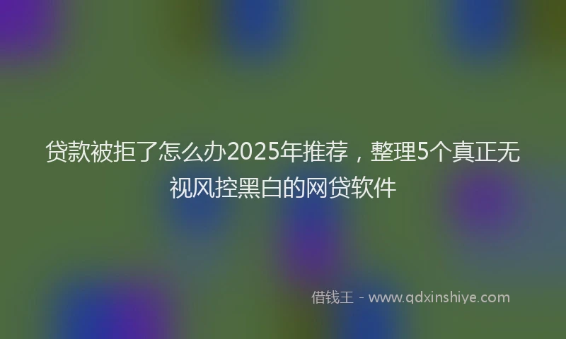 贷款被拒了怎么办2025年推荐，整理5个真正无视风控黑白的网贷软件