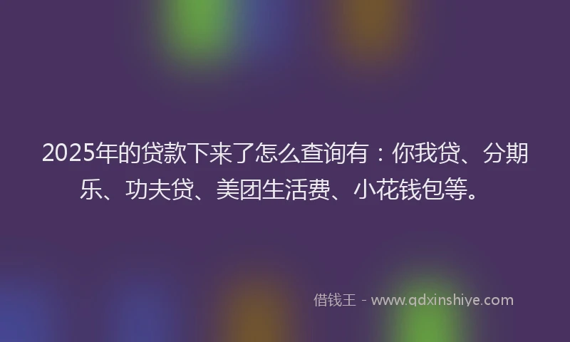 2025年的贷款下来了怎么查询有：你我贷、分期乐、功夫贷、美团生活费、小花钱包等。