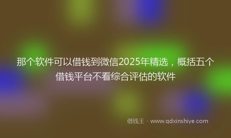 那个软件可以借钱到微信2025年精选，概括五个借钱平台不看综合评估的软件