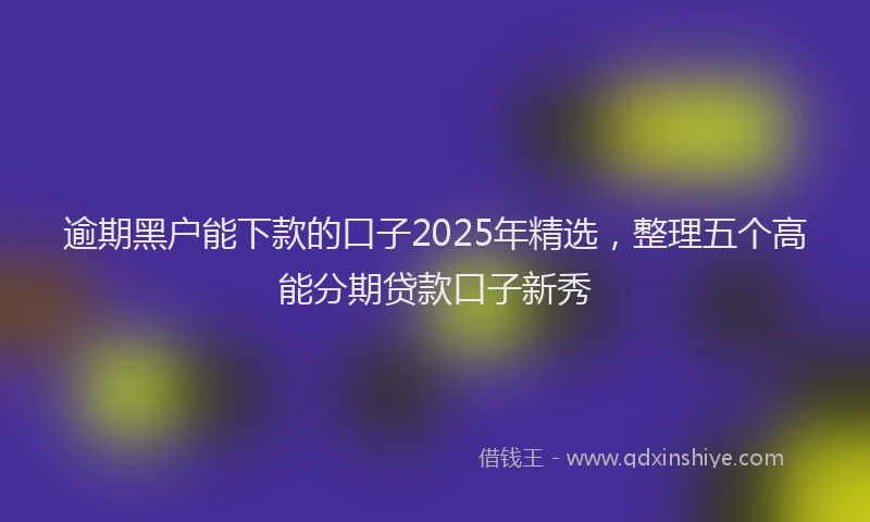 逾期黑户能下款的口子2025年精选，整理五个高能分期贷款口子新秀
