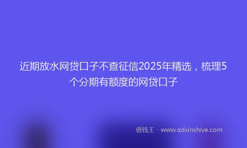 近期放水网贷口子不查征信2025年精选，梳理5个分期有额度的网贷口子