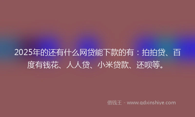 2025年的还有什么网贷能下款的有：拍拍贷、百度有钱花、人人贷、小米贷款、还呗等。