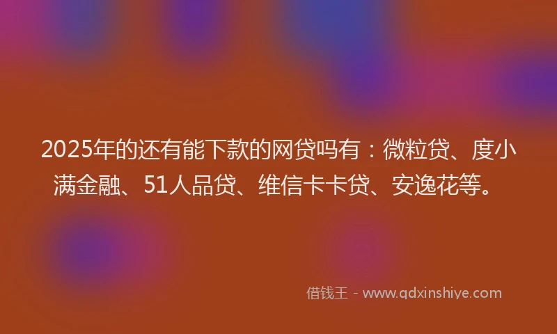 2025年的还有能下款的网贷吗有：微粒贷、度小满金融、51人品贷、维信卡卡贷、安逸花等。