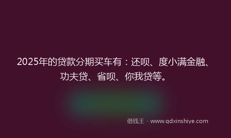 2025年的贷款分期买车有：还呗、度小满金融、功夫贷、省呗、你我贷等。
