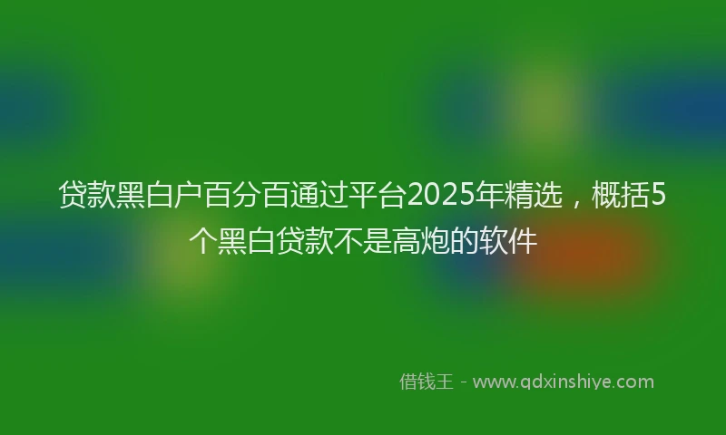 贷款黑白户百分百通过平台2025年精选，概括5个黑白贷款不是高炮的软件