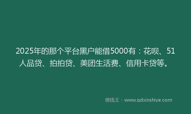 2025年的那个平台黑户能借5000有：花呗、51人品贷、拍拍贷、美团生活费、信用卡贷等。