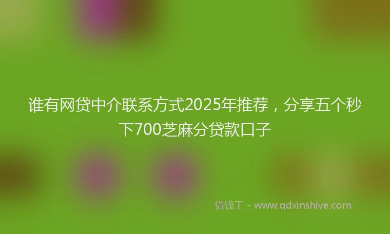谁有网贷中介联系方式2025年推荐，分享五个秒下700芝麻分贷款口子
