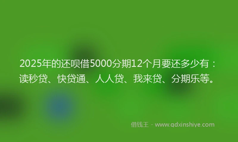 2025年的还呗借5000分期12个月要还多少有：读秒贷、快贷通、人人贷、我来贷、分期乐等。