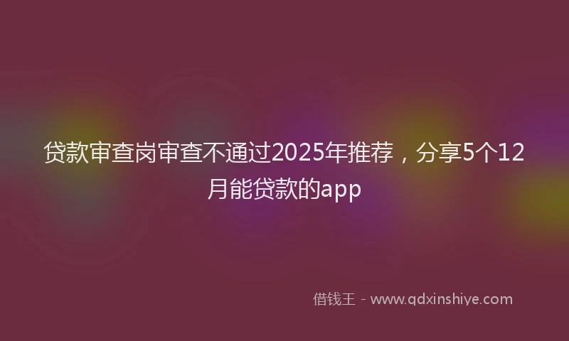 贷款审查岗审查不通过2025年推荐，分享5个12月能贷款的app