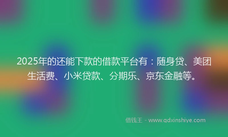 2025年的还能下款的借款平台有：随身贷、美团生活费、小米贷款、分期乐、京东金融等。