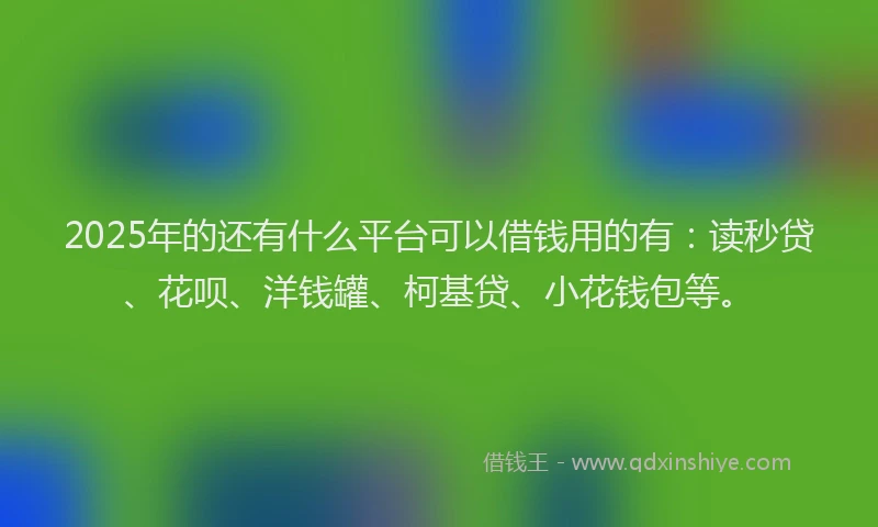 2025年的还有什么平台可以借钱用的有：读秒贷、花呗、洋钱罐、柯基贷、小花钱包等。