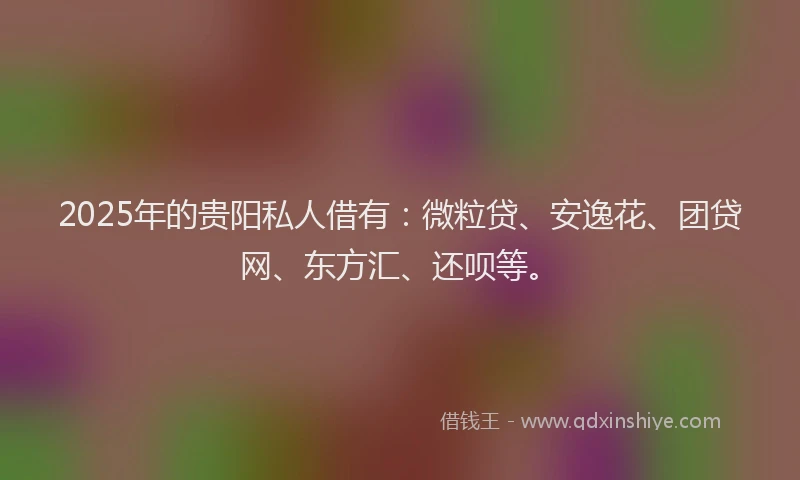 2025年的贵阳私人借有：微粒贷、安逸花、团贷网、东方汇、还呗等。