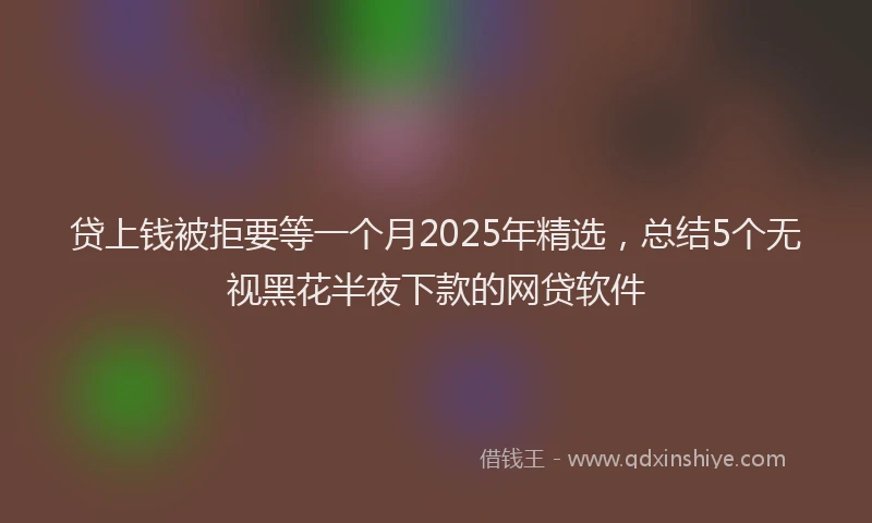 贷上钱被拒要等一个月2025年精选，总结5个无视黑花半夜下款的网贷软件